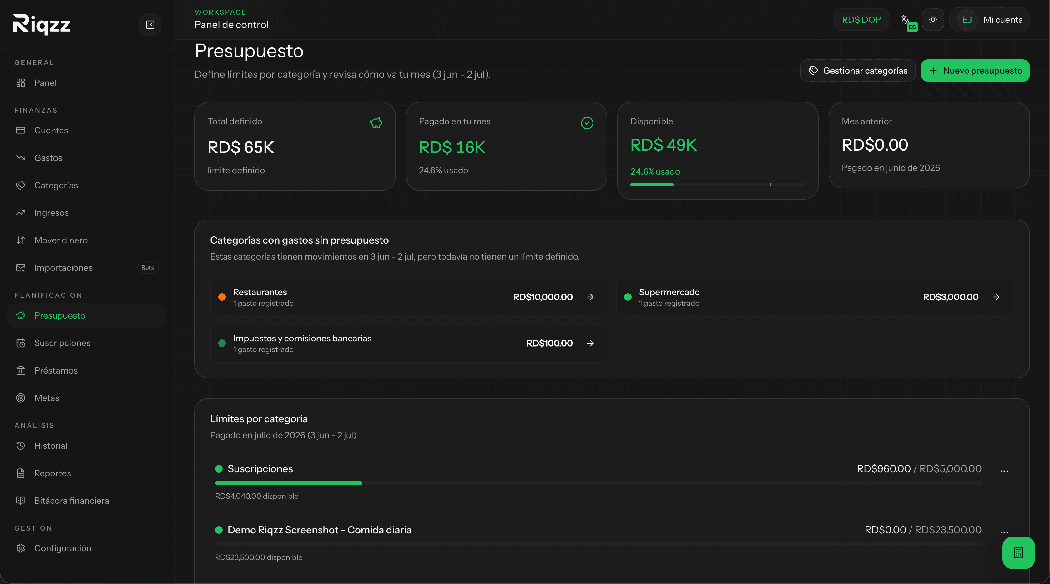 Personal budgets by category with monthly limits and usage in Riqzz